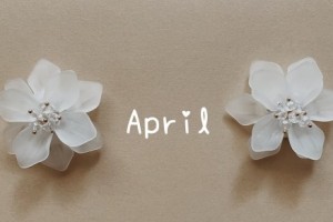 【New】4月スケジュール公開のお知らせ