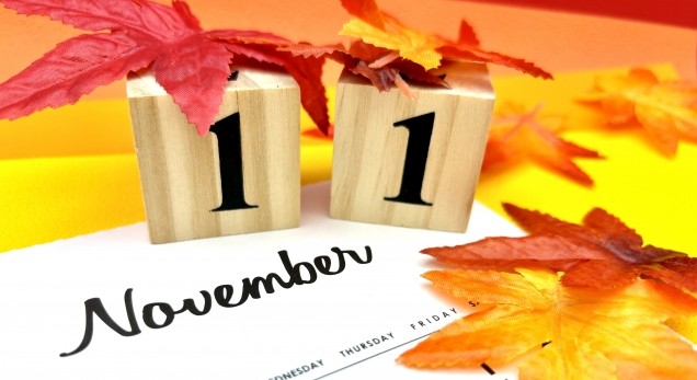 【New】2025年11月スケジュール公開のお知らせ