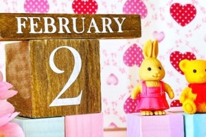 【New】2026年2月スケジュール公開のお知らせ