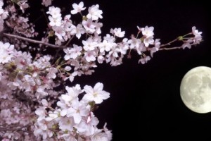 【New】2026年3月スケジュール公開のお知らせ