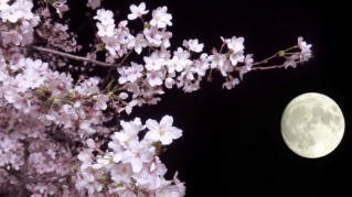 【New】2026年3月スケジュール公開のお知らせ