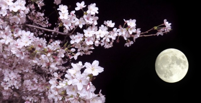 【New】2026年3月スケジュール公開のお知らせ